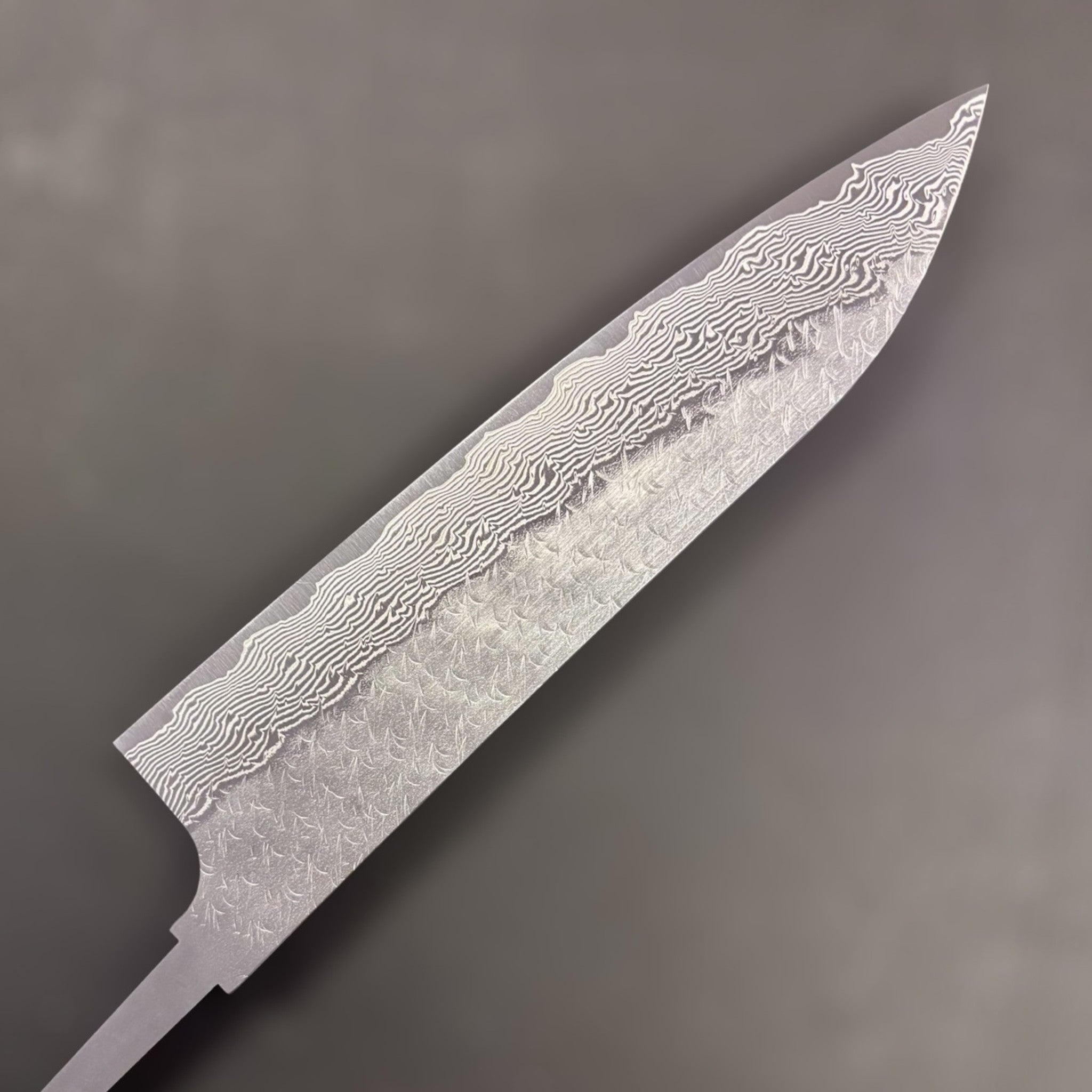 Nigara SG-STRIX Gyuto SG2 210 mm, detailed shot of layered Damascus along the edge and belly (no handle).