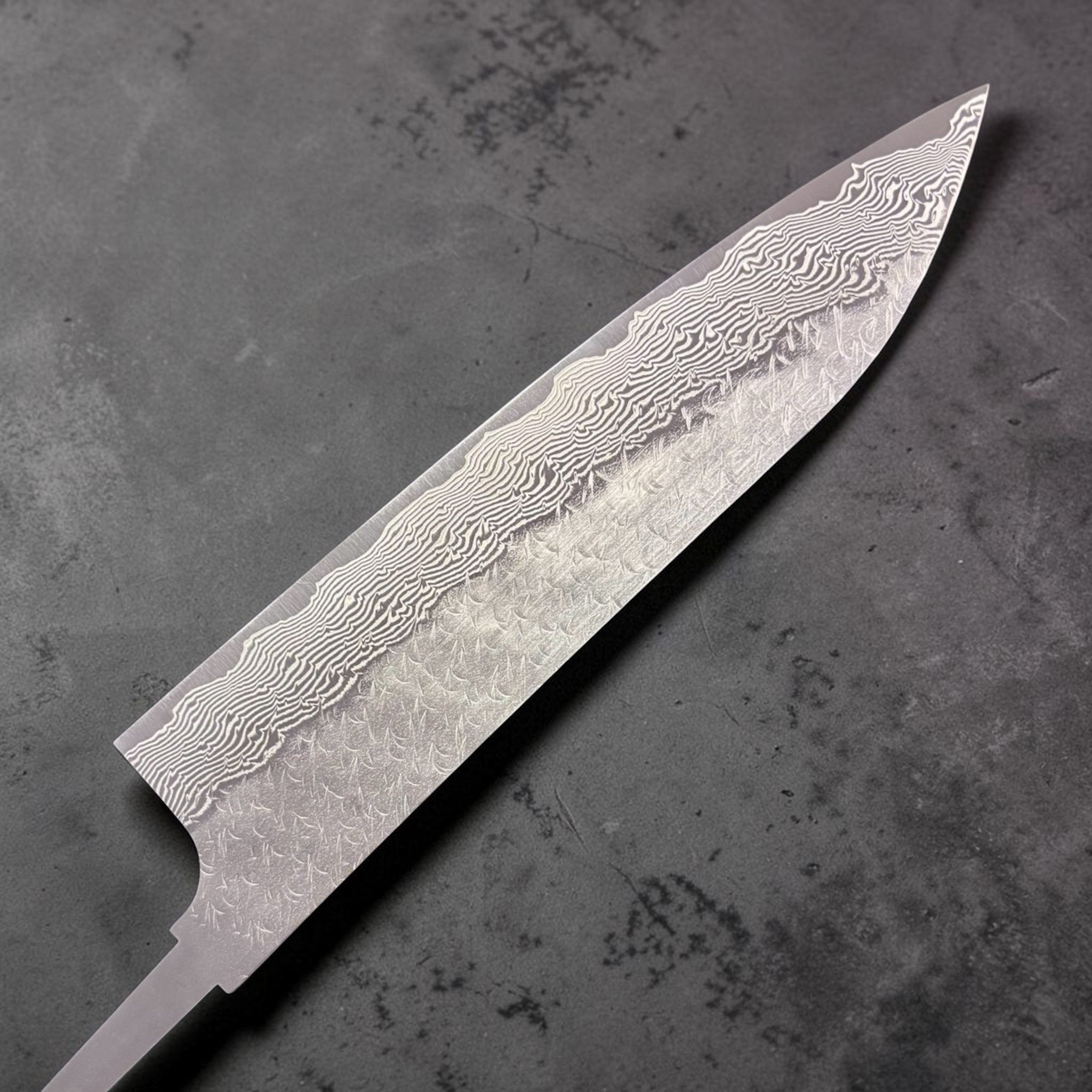 Nigara SG-STRIX Gyuto SG2 210 mm, detailed shot of layered Damascus along the edge and belly (no handle).