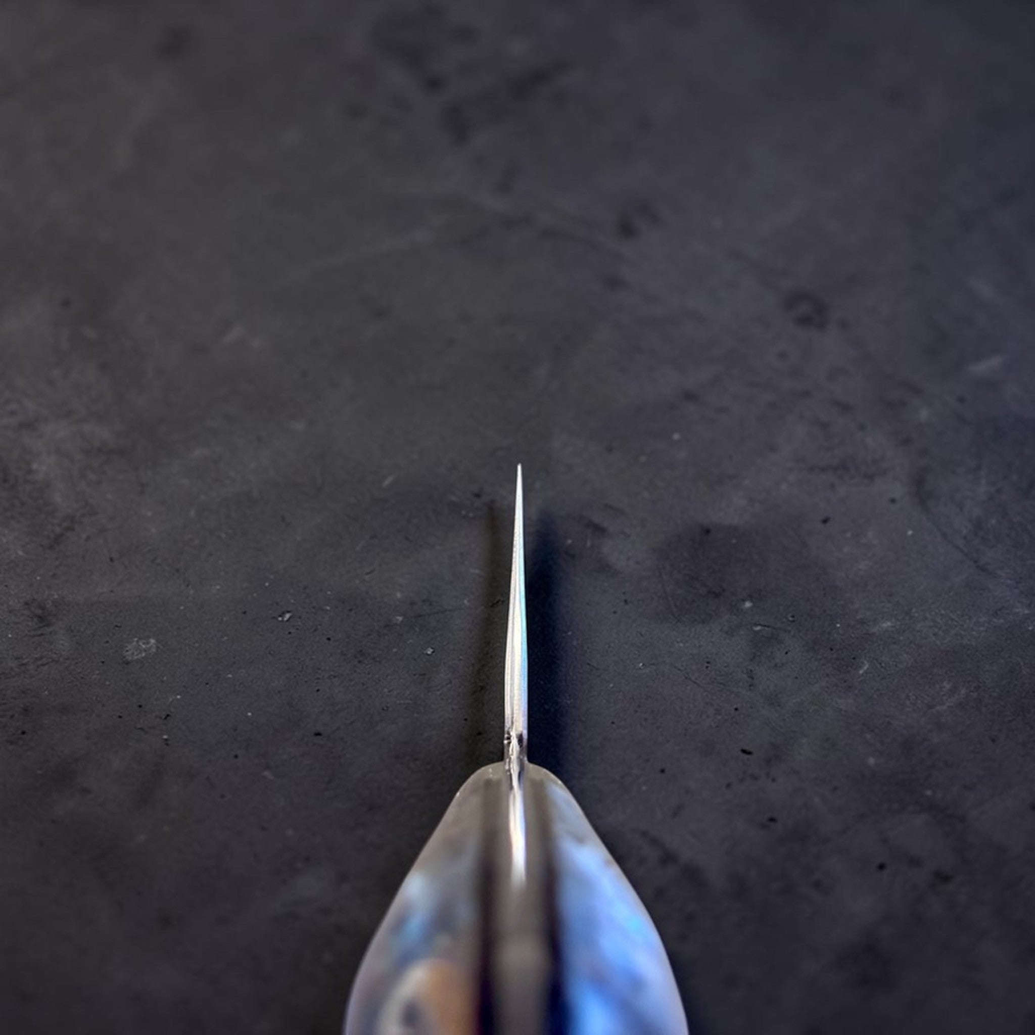 Nigara SG2 Tsuchime Gyuto 240 mm with abalone western handle, choil view showing thin blade geometry.