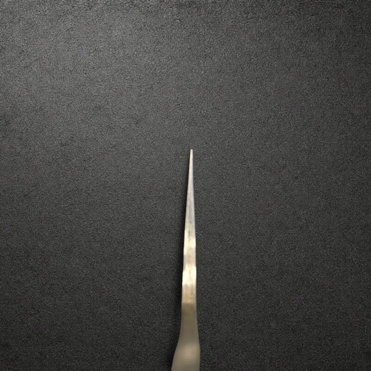 Takeshi Saji R2 Diamond Damascus Sujihiki 240mm, choil view showing the blade taper