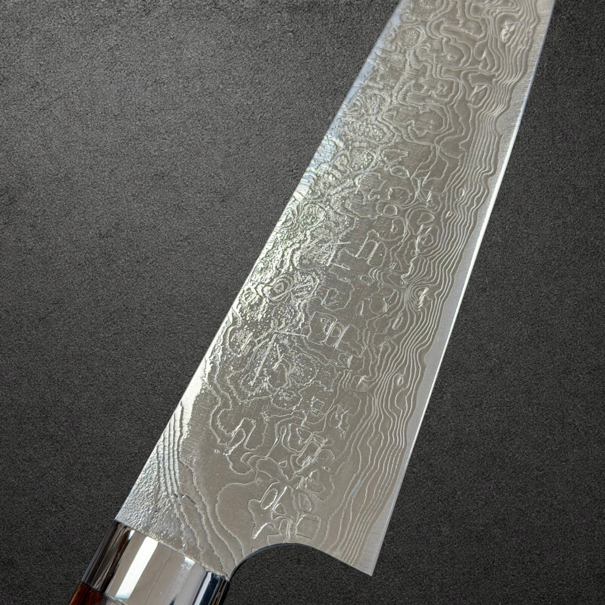 Takeshi Saji SG2 Diamond Damascus Gyuto 180mm with ironwood handle, kanji and damascus detail