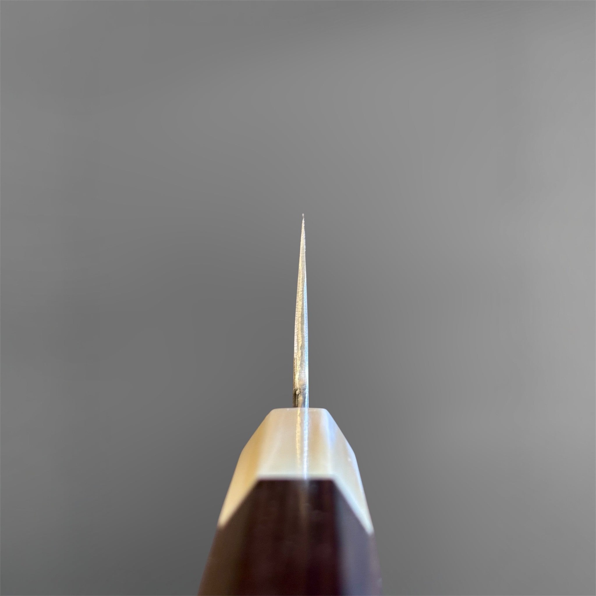 Satoshi Nakagawa Blue #1 Damascus Santoku with ebony and horn handle, choil view showing thin edge geometry and octagonal wa handle construction.