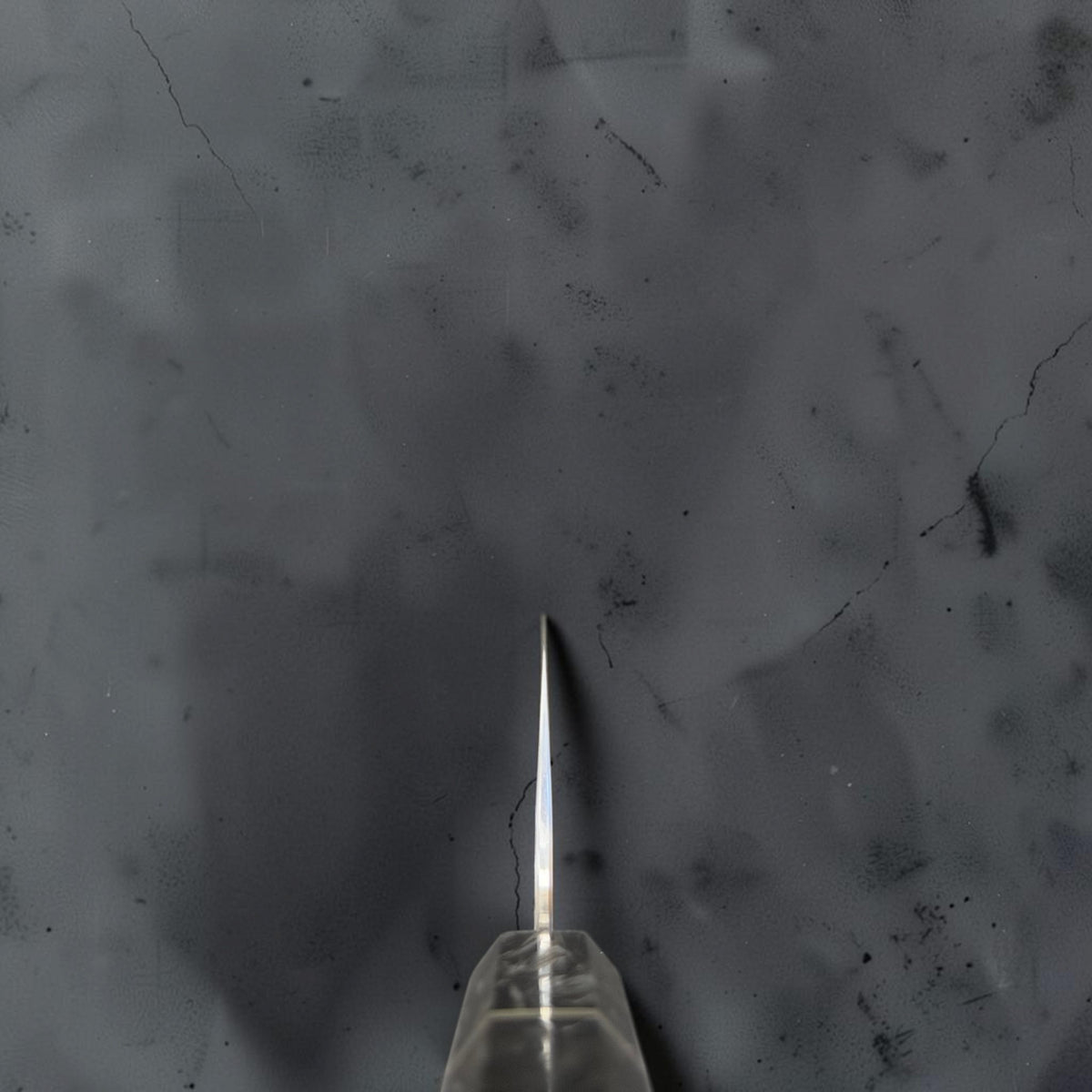Choil view of the Shibata Arare SG2 gyuto 210mm showing the blade grind and carbon fiber handle.