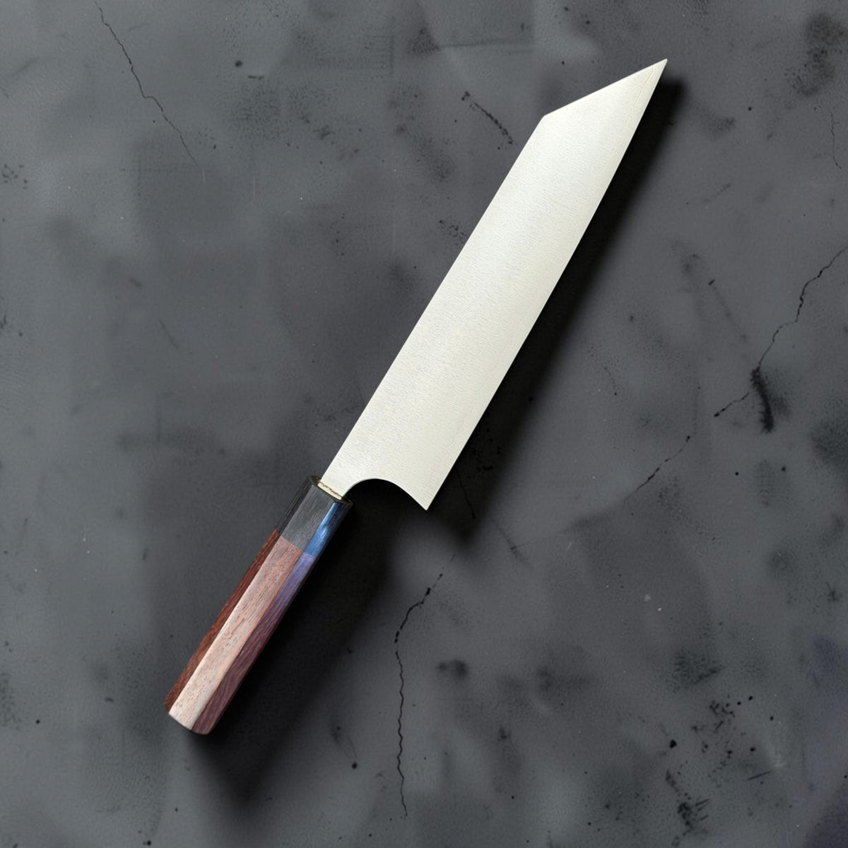 Shibata Koutetsu SG2 210mm gyuto with reddish wood octagonal handle, angled side view