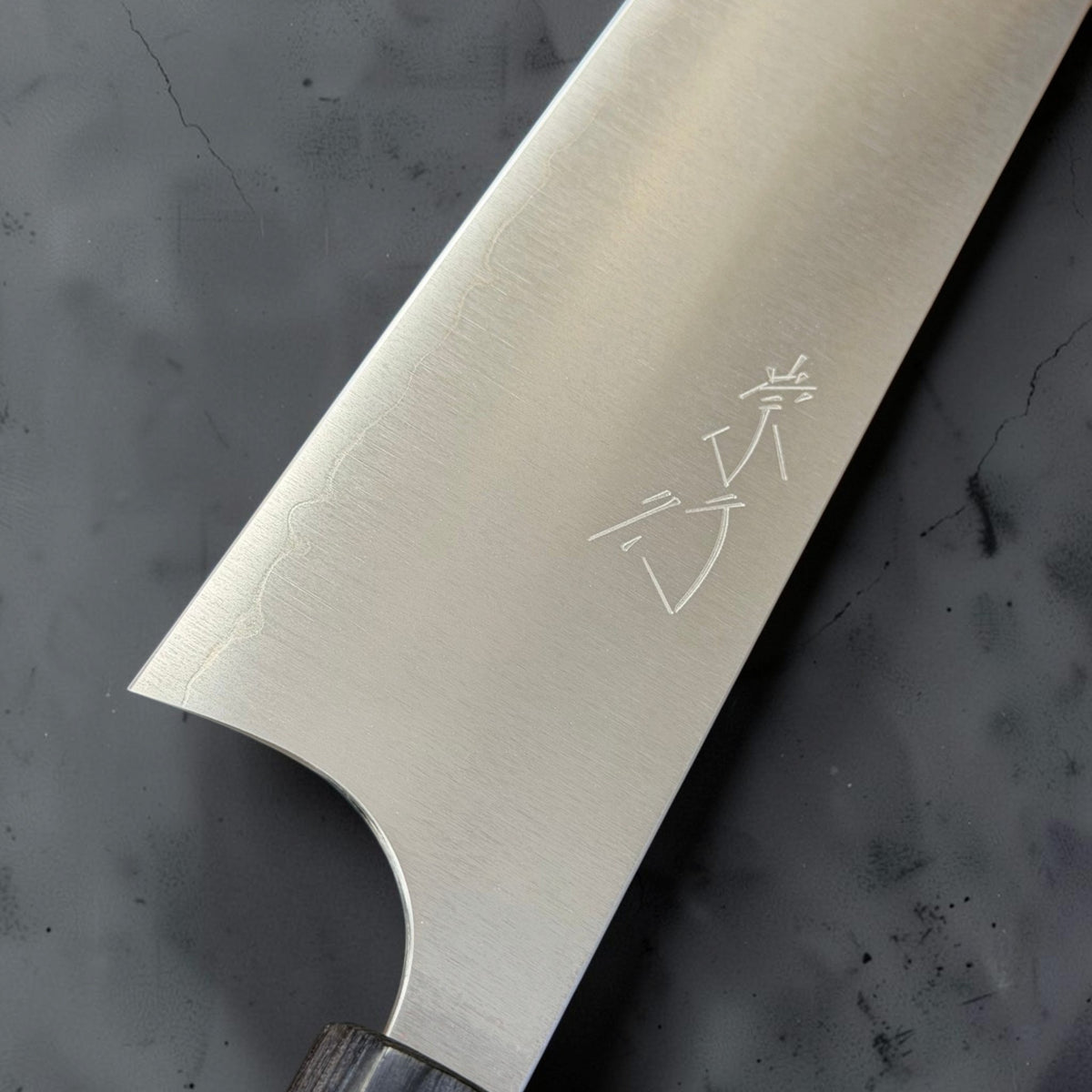 Shibata Koutetsu SG2 210mm gyuto, close-up of the blade engraving and finish