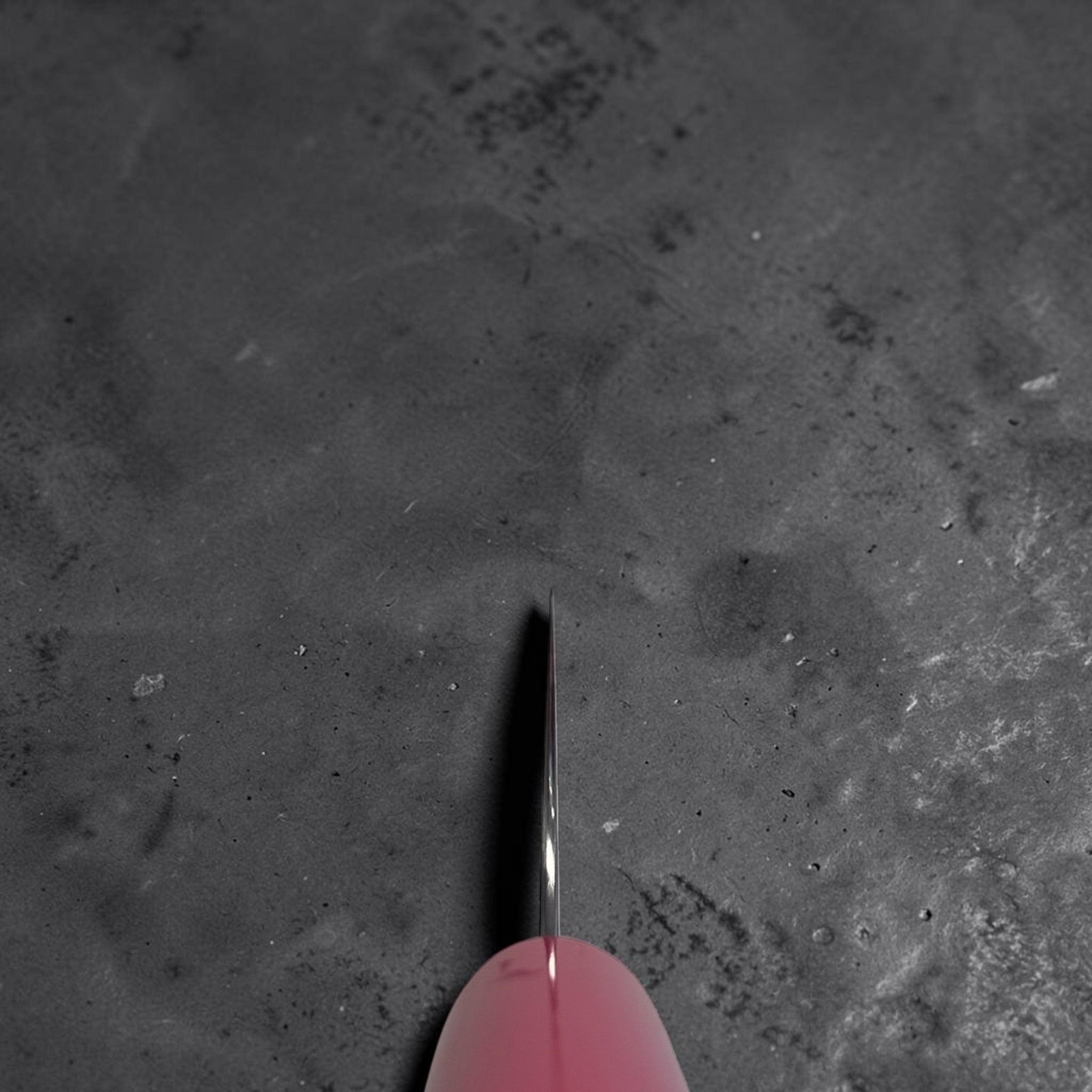 Shibata Koutetsu SG2 Migaki 210 mm Gyuto Limited Edition choil shot