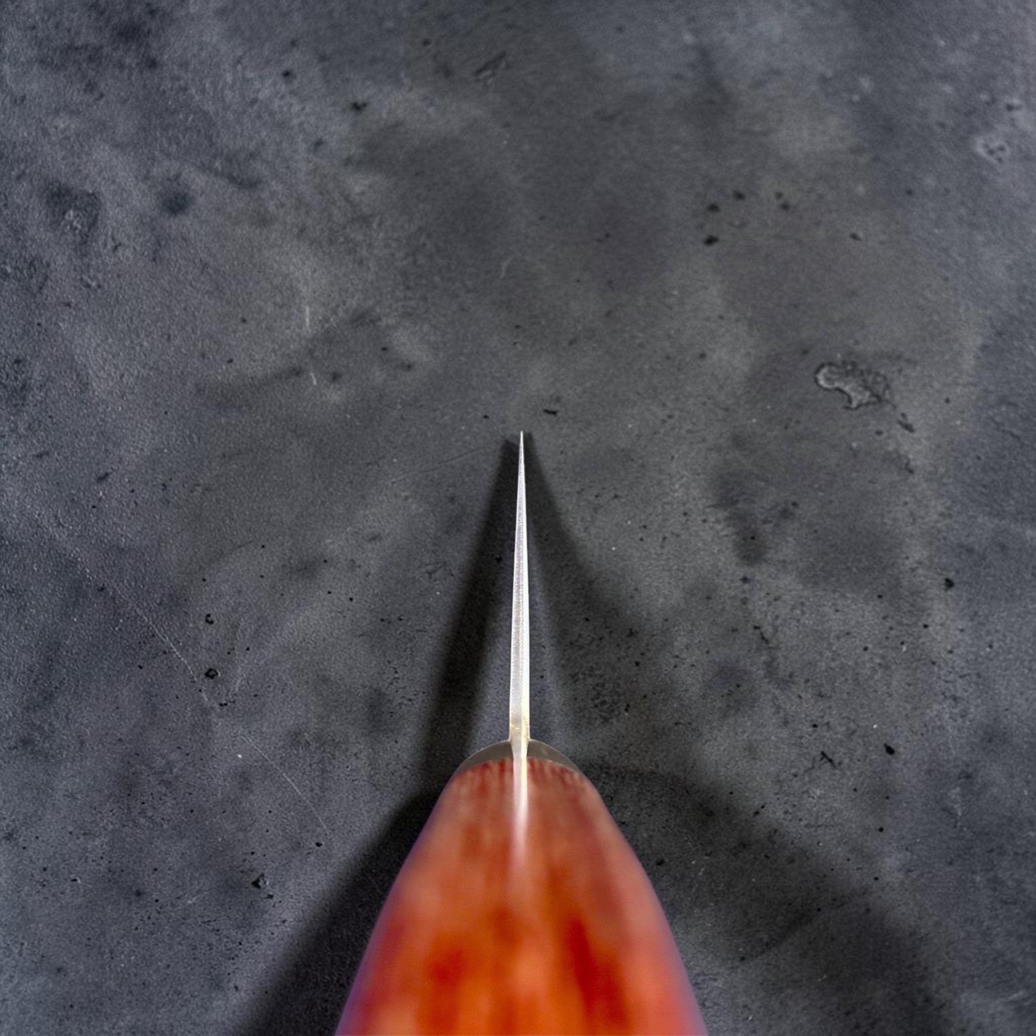 Takamura Chromax Santoku 170 mm, choil view showing the thin grind and reddish-brown western handle.