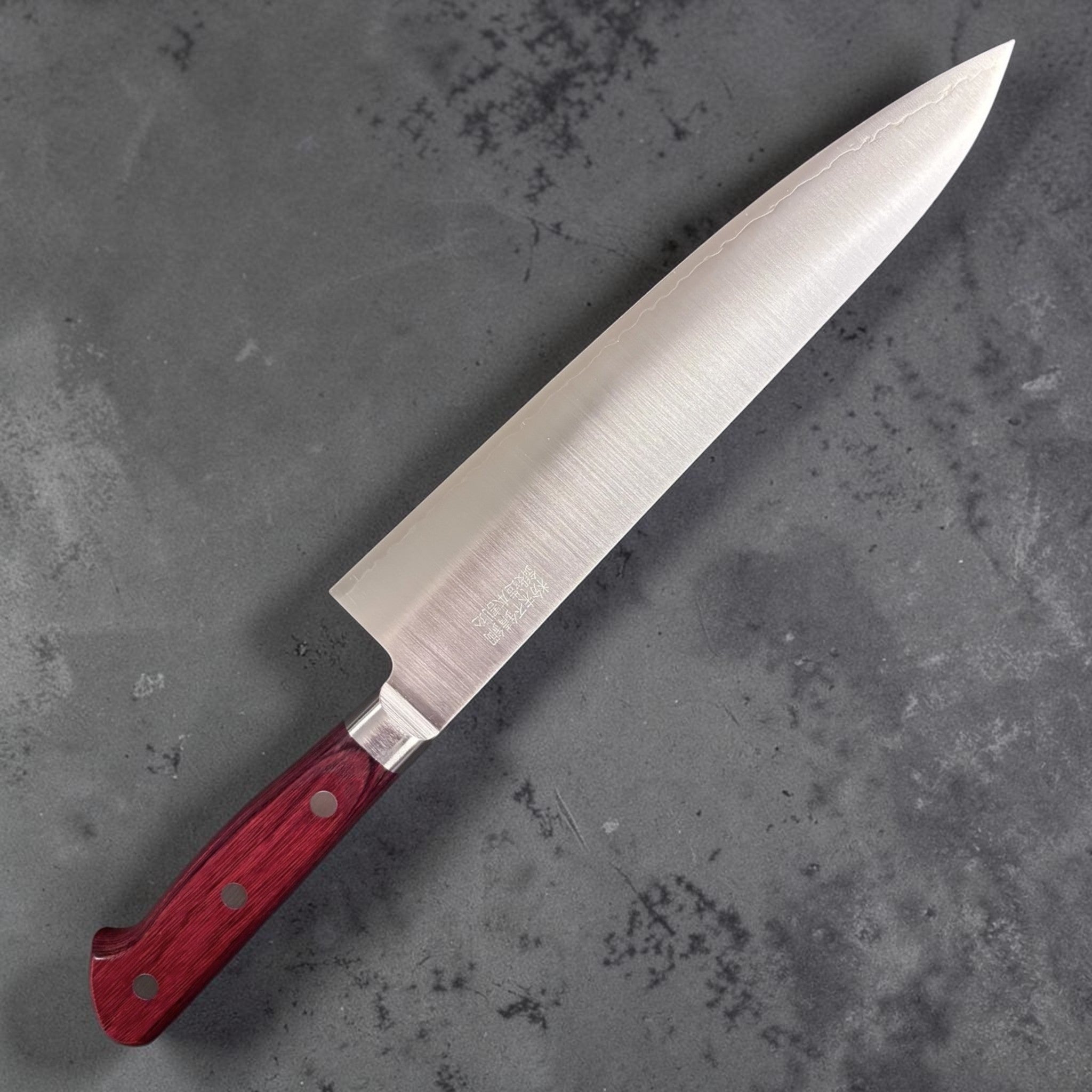 Takamura SG2 Gyuto 210mm, left blade face with kanji on neutral background.