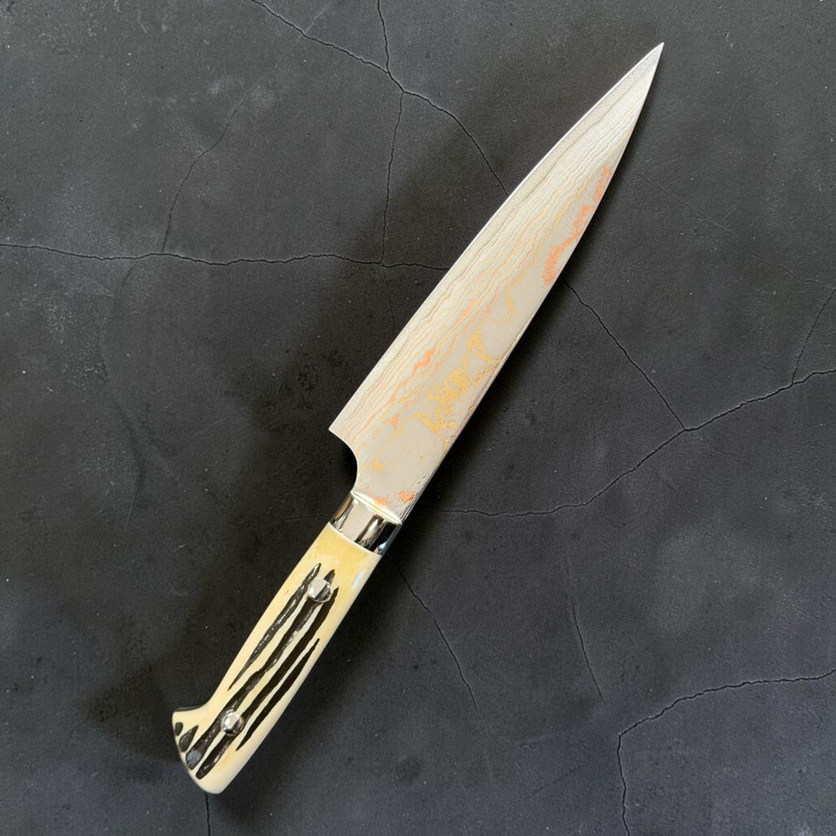 Reverse angle of Takeshi Saji Blue #2 Rainbow Damascus Petty 150mm with white cow-horn western handle.