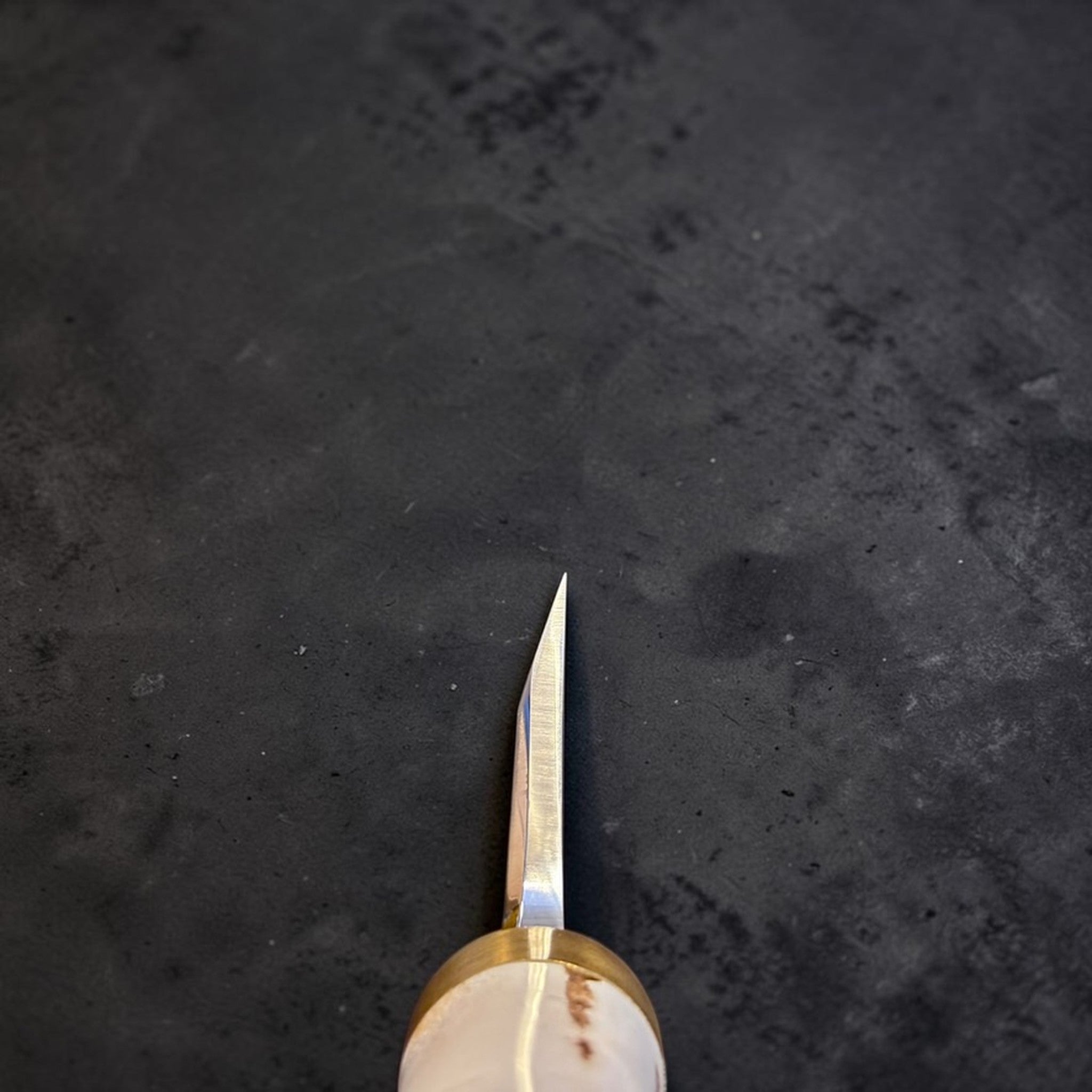 Takeshi Saji Ginsan #3 Deba 105 mm with deer antler handle, choil view showing thick single-bevel geometry.