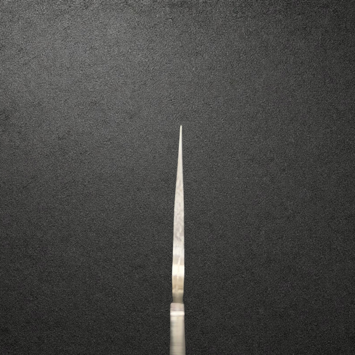 Choil view of Takeshi Saji STRIX Tsuchime Nakiri blade only, showing the blade cross-section and grind.