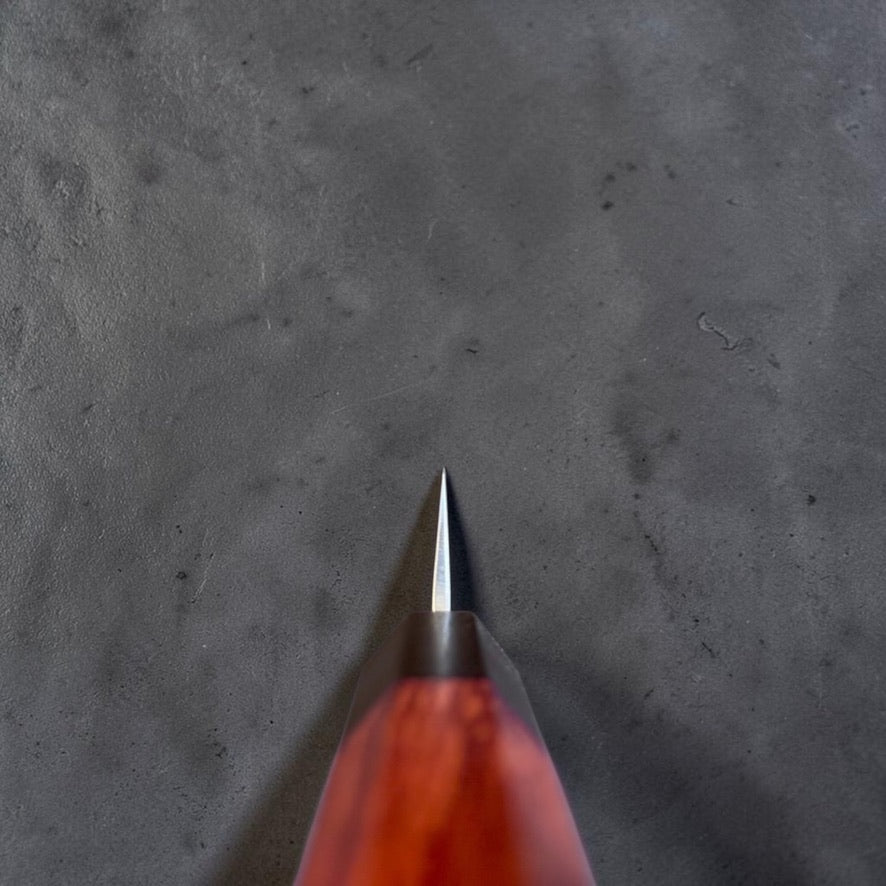 Choil view of Tokushu Ginsan #3 Nashiji Petty 135mm showing the thin edge geometry.