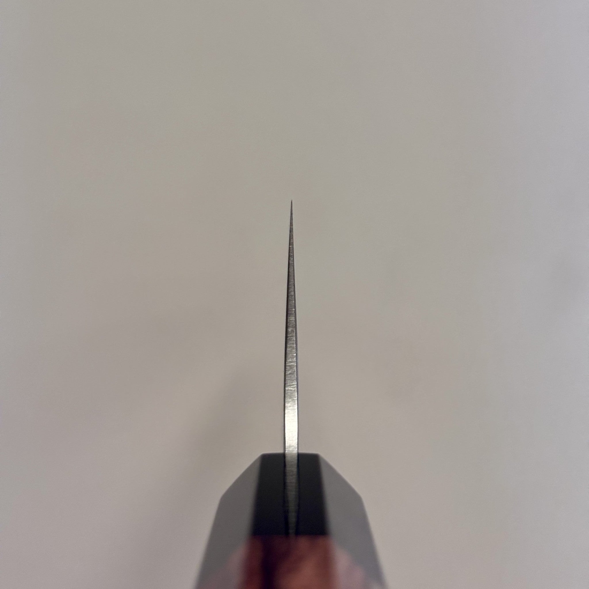 Tokushu Knife Special Edition Nashiji Ginsan Gyuto 210 mm choil shot.