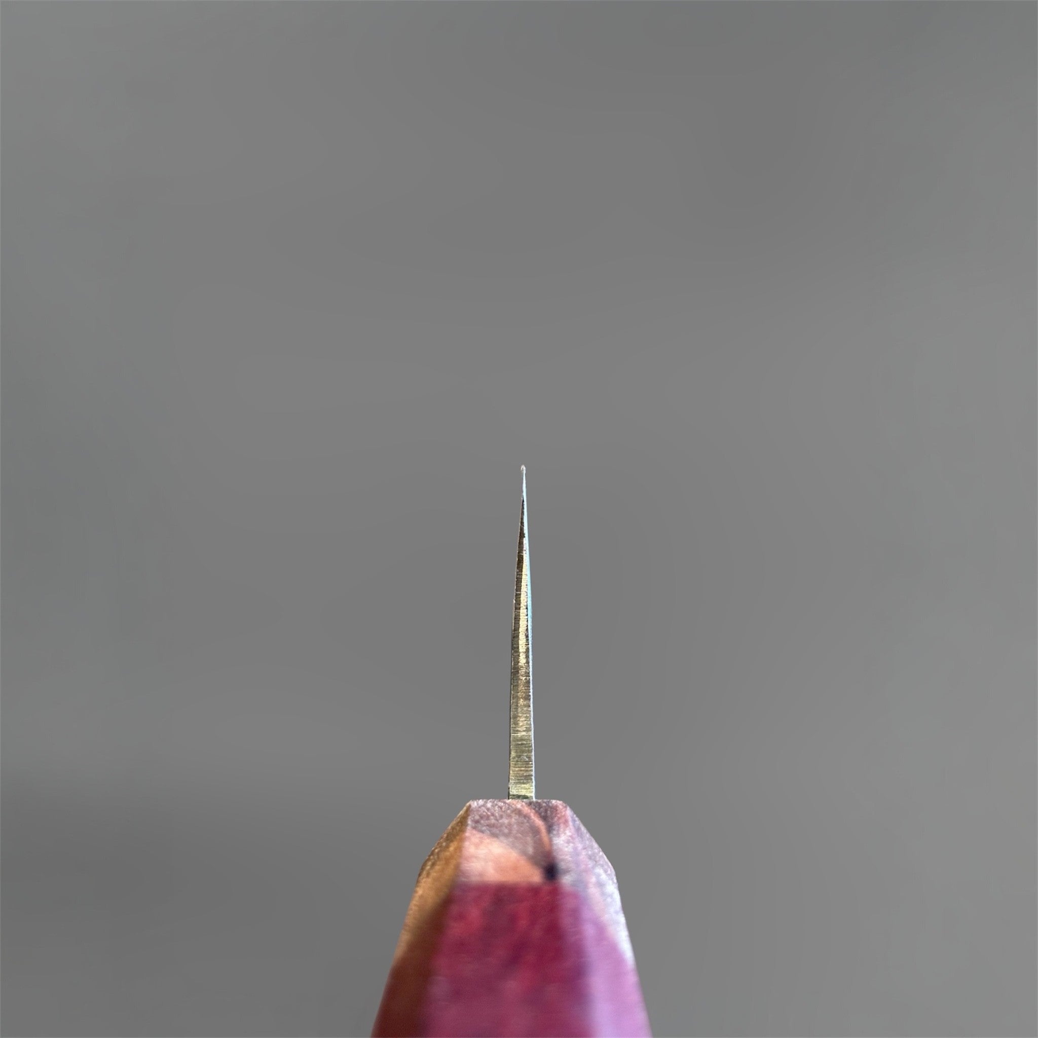 Tokushu Knife Rosewood Series White #2 Kurouchi 210 mm Japanese gyuto knife, choil view highlighting blade thickness and grind.