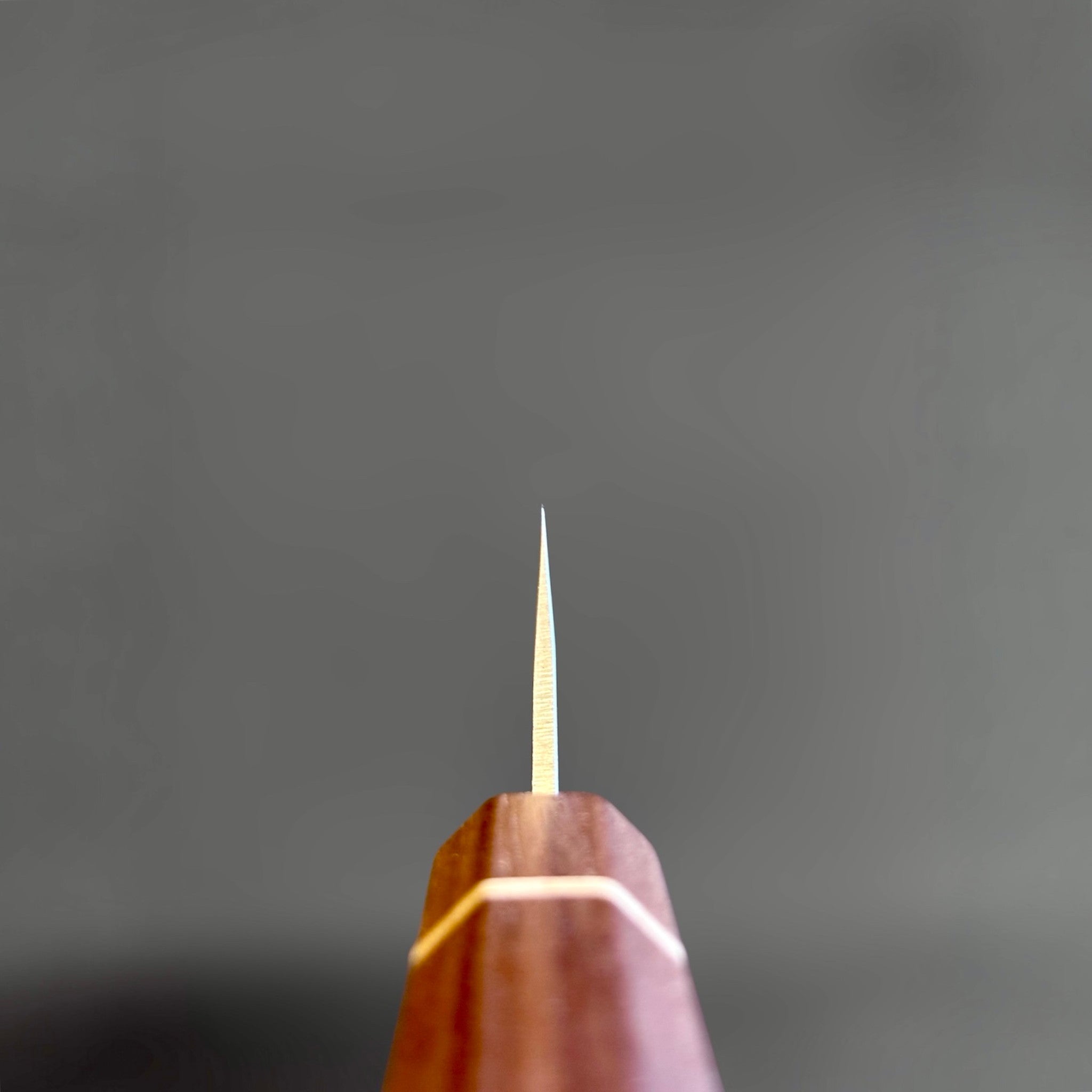 Tokushu Knife Tsuchime SLD 105 mm Tall Petty Ajikiri, spine view emphasizing the thin blade geometry and tapered grind.