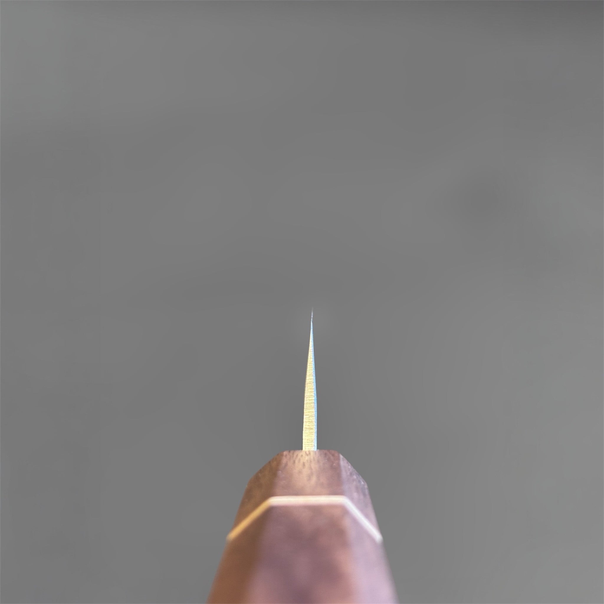 Tokushu Knife Tsuchime SLD 165 mm Hiraki Petty, spine view emphasizing the thin grind, tapered blade geometry, and octagonal wa handle.