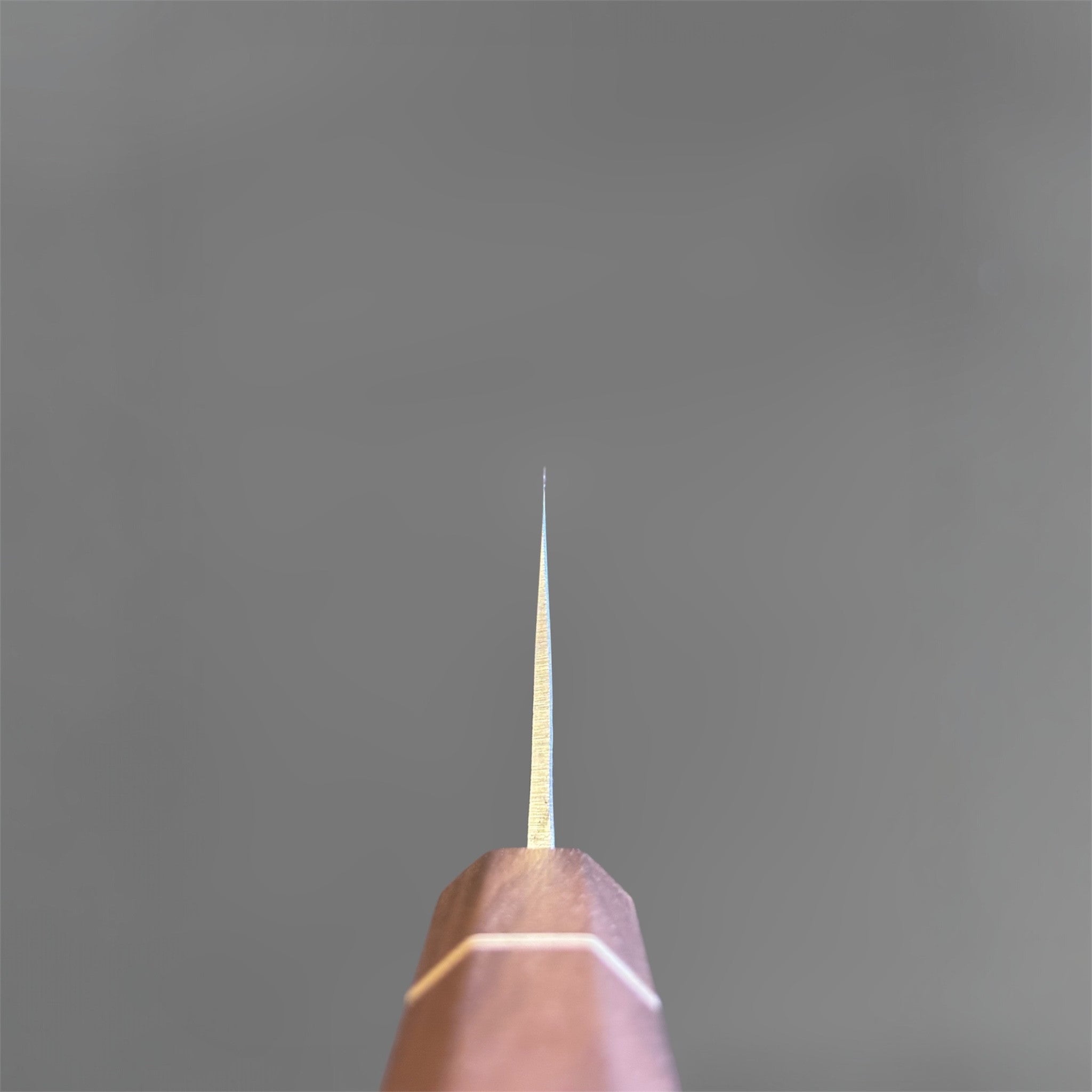 Tokushu Knife Tsuchime SLD Gyuto 240 mm, spine view emphasizing the thin grind, tapered blade geometry, and octagonal wood wa handle.