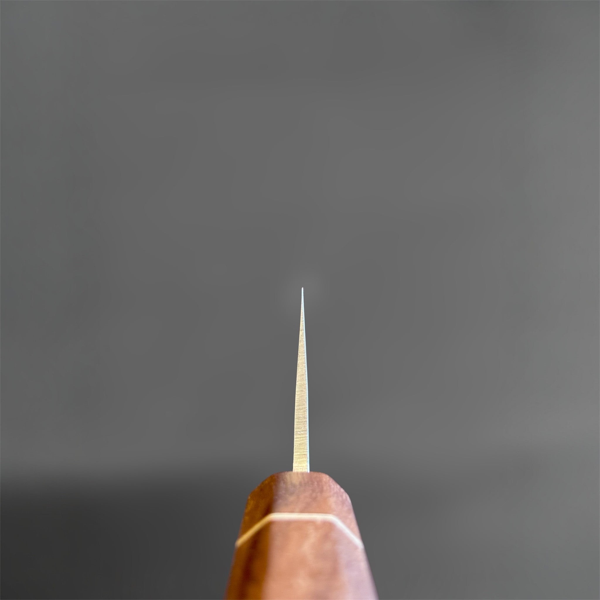 Tokushu Knife Tsuchime SLD Gyuto 210 mm, spine view emphasizing the thin grind and tapered blade geometry.