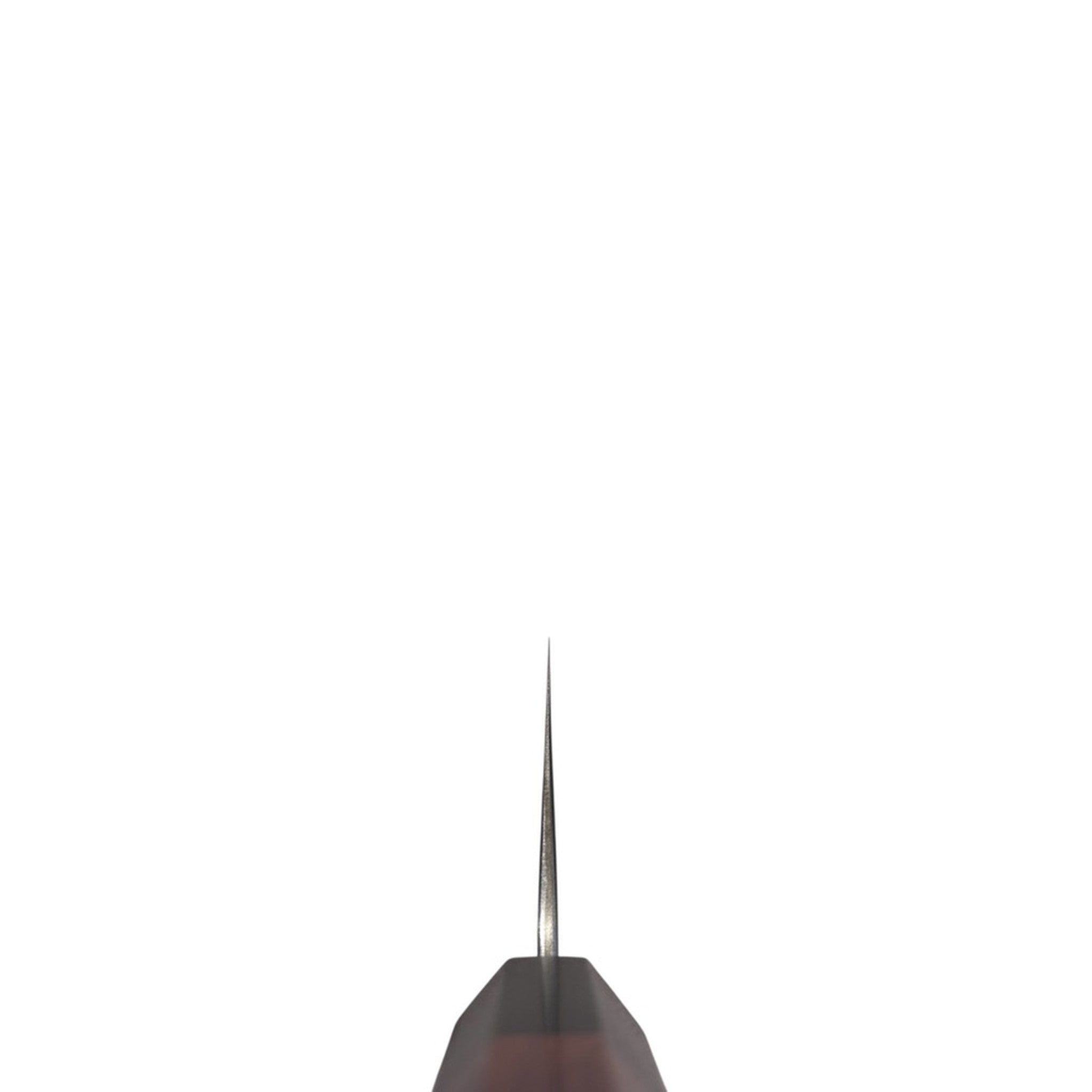 Tokushu White #2 Stainless Clad Tsuchime Kiritsuke 210mm, spine shot showing thin grind and distal taper on a white background.