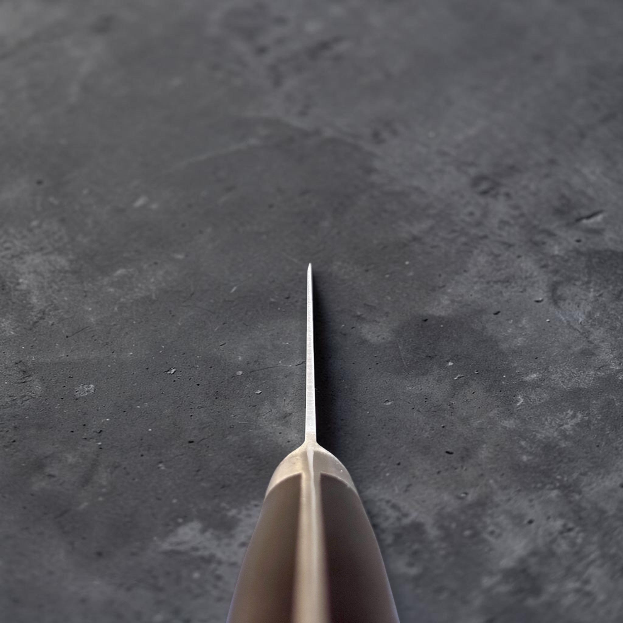Tsunehisa Mono AUS-8 Gyuto 210 mm with black Western handle, choil/spine view showing the thin blade geometry and black Western handle.
