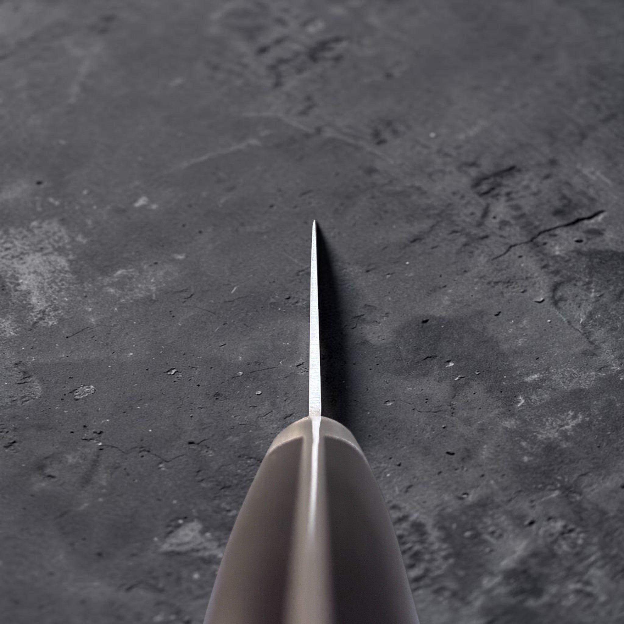 Tsunehisa Mono AUS-8 Gyuto 240 mm with black Western handle, choil view showing thin edge geometry.