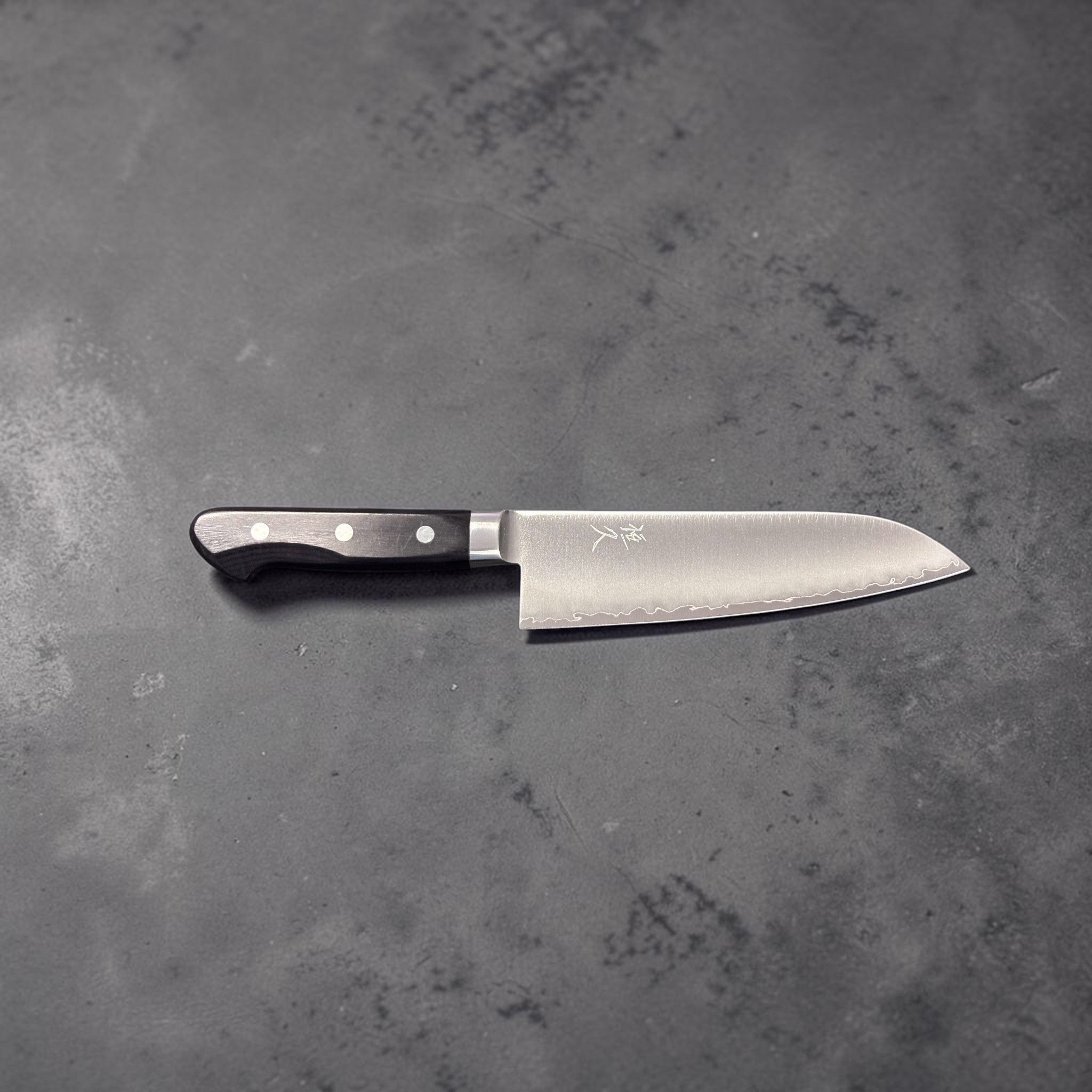 Tsunehisa VG-1 stainless steel Santoku 165 mm with black Western handle, wider side shot emphasizing overall silhouette and balance.