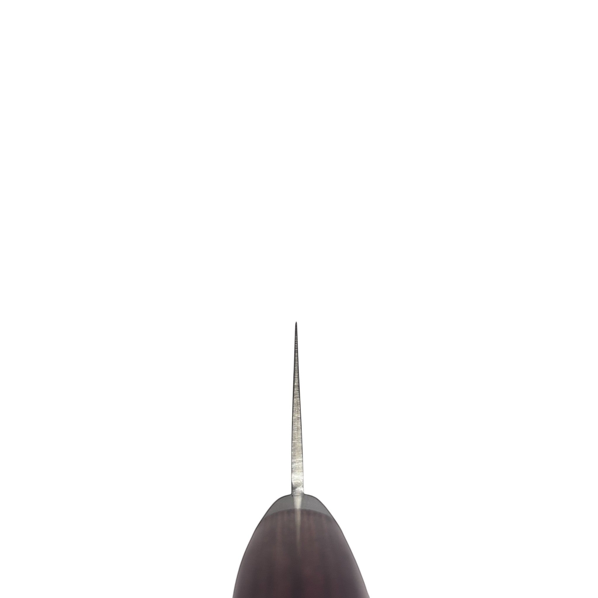 Tsunehisa VG-10 Tsuchime Gyuto 210 mm with brown Western handle choil shot.