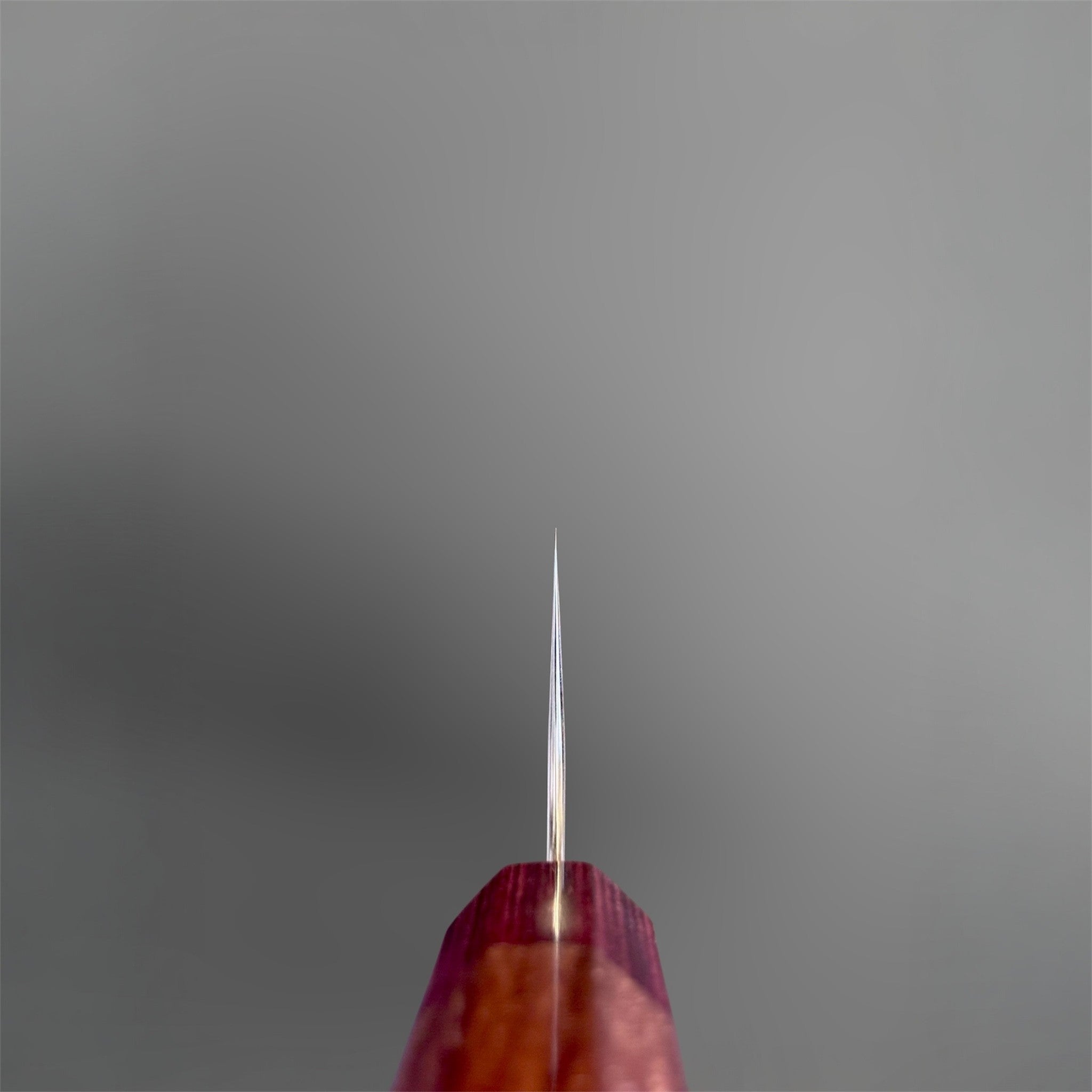 Yoshimi Kato SG2 Damascus Bunka 170 mm with Honduran wood handle and red pakkawood ferrule, choil and spine view.