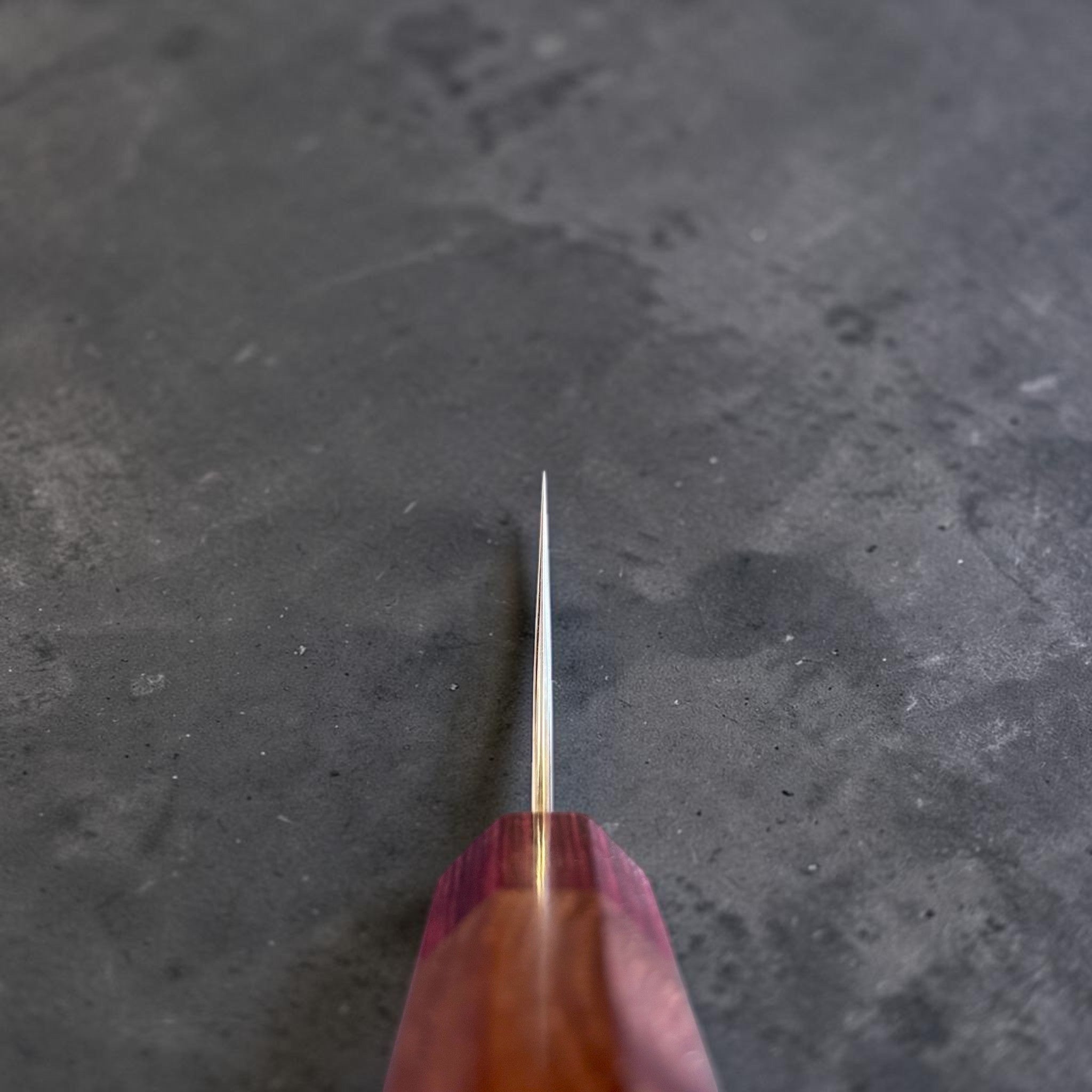 Yoshimi Kato SG2 Kuro Damascus Kiritsuke 210 mm with Honduran wood handle, choil view showing thin edge geometry and handle alignment.