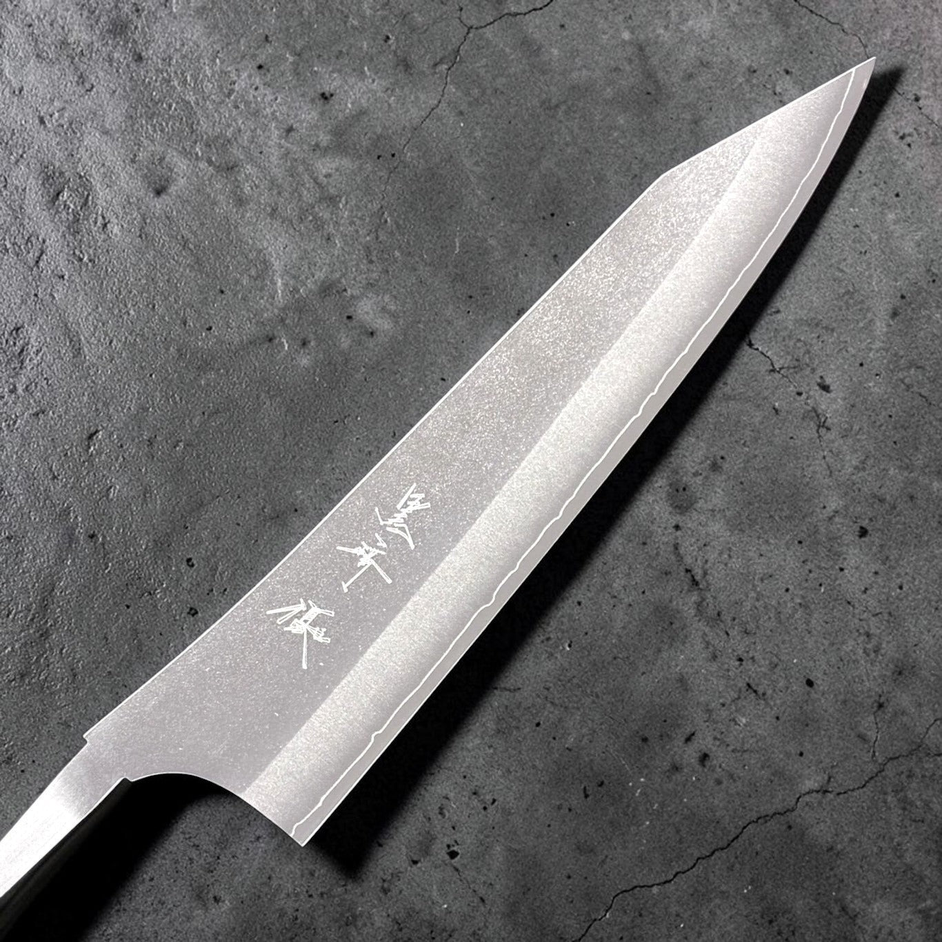 u Kurosaki Gekko VG-XEOS Gyuto 240mm no-handle blade side view