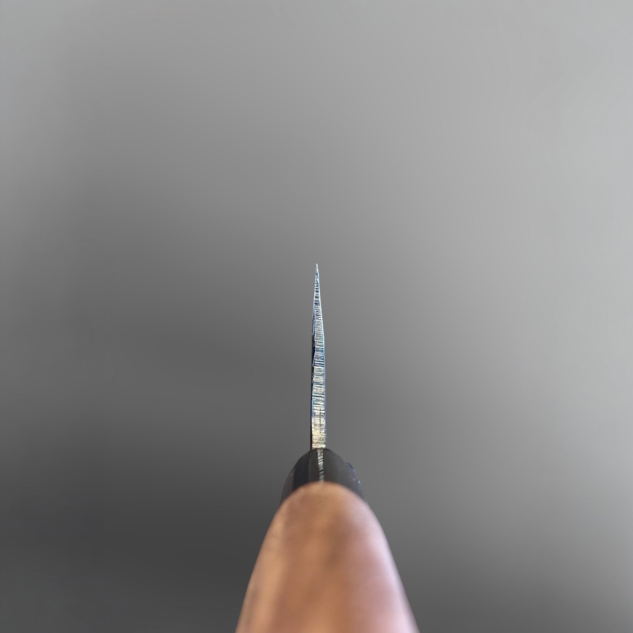 Zakuri AS Kurouchi Gyuto 210 mm, choil view showing thin spine and edge geometry from the handle.
