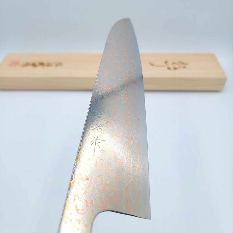 Takeshi Saji Rainbow VG10 240mm Gyuto with Rosewood Handle and White top Tokushu Knife.