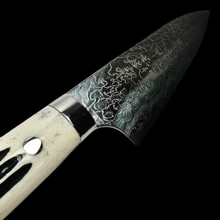 Takeshi Saji SG2 Diamond 180mm Gyuto with Cow Horn Handle - Tokushu Knife