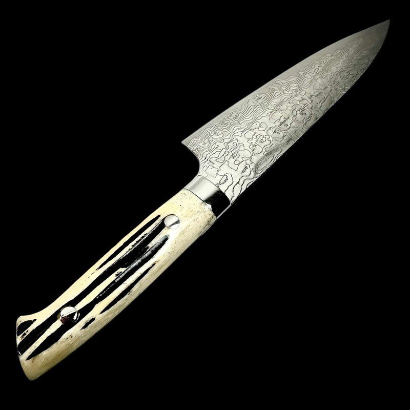 Takeshi Saji SG2 Diamond 180mm Gyuto with Cow Horn Handle - Tokushu Knife