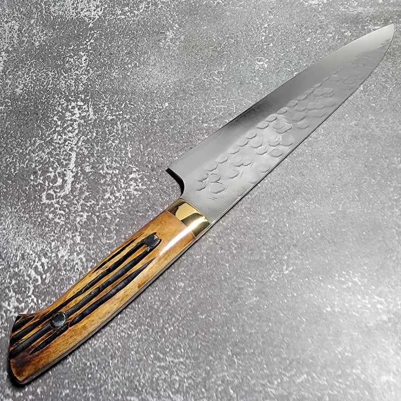 Takeshi Saji VG-10 Tsuchime Polished 210mm Gyuto With Western Yellow Horn Handle - Tokushu Knife