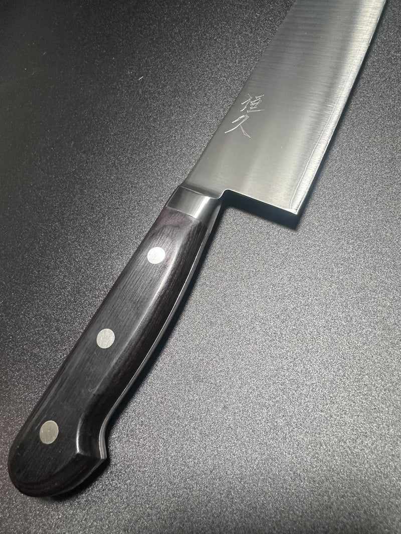 Tsunehisa Blue #2 Migaki 240mm Gyuto Western Handle - Tokushu Knife