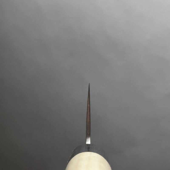 Tsunehisa Ginsan #3 Nashiji 210mm Kiritsuke with Magnolia Circle Handle - Tokushu Knife